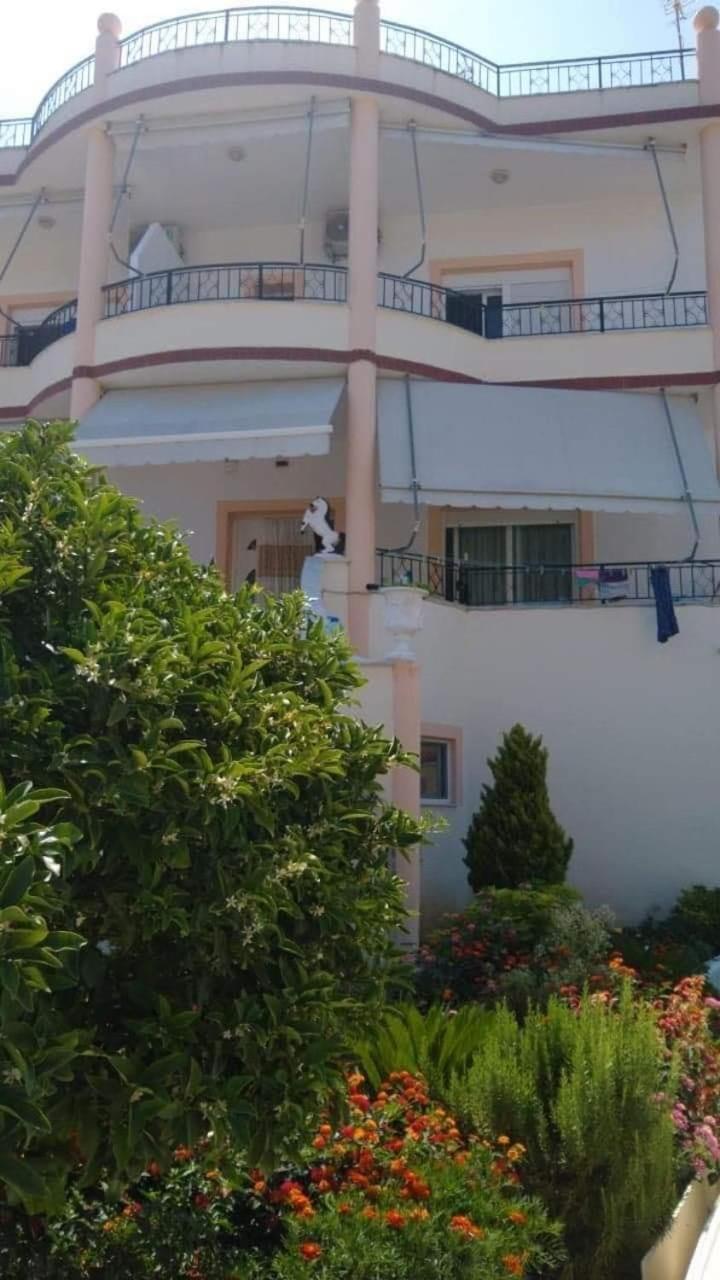 Apartments Rudi Orikum Εξωτερικό φωτογραφία